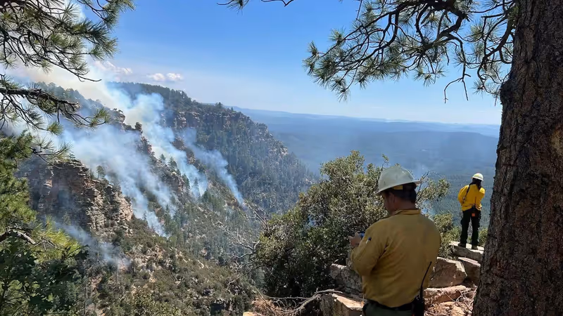 Piloto de dron de un servicio forestal observa desde un mirador un incendio en ladera boscosa con columnas de humo