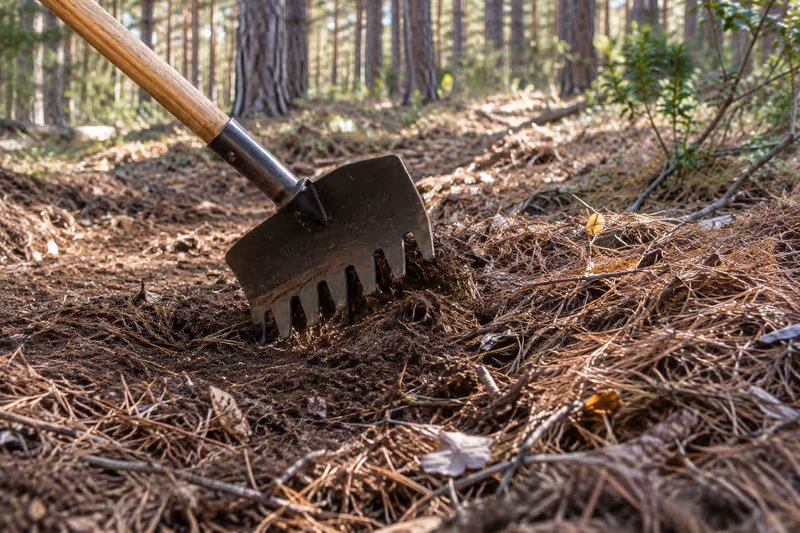 Herramienta forestal Vallfirest Gorgui Xtreme
