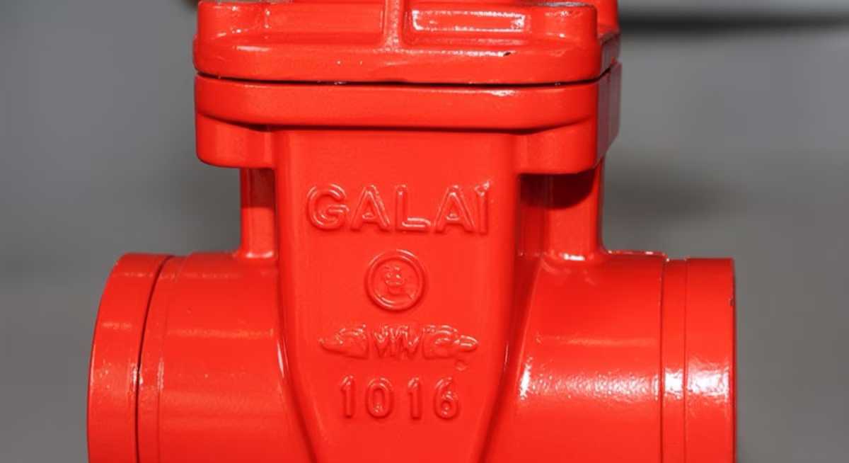 Válvula Compuerta OS&Y 8" Bridada 175 PSI — vista 3
